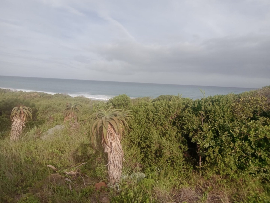 Commercial Property for Sale in Paradise Beach Eastern Cape